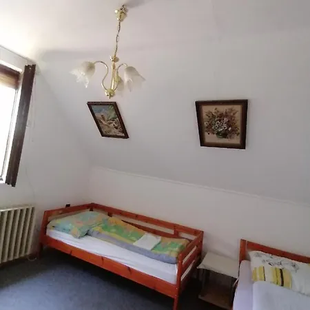 Apartman Malomtavi