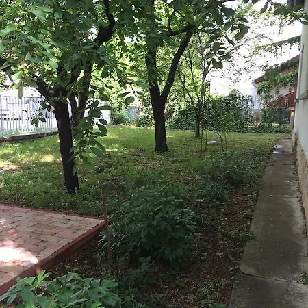 Apartman Malomtavi *