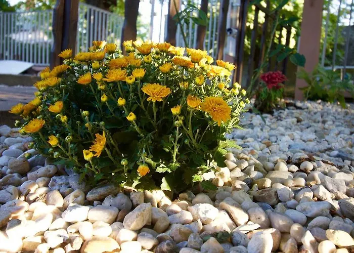 公寓 Malomtavi Vendeghaz *